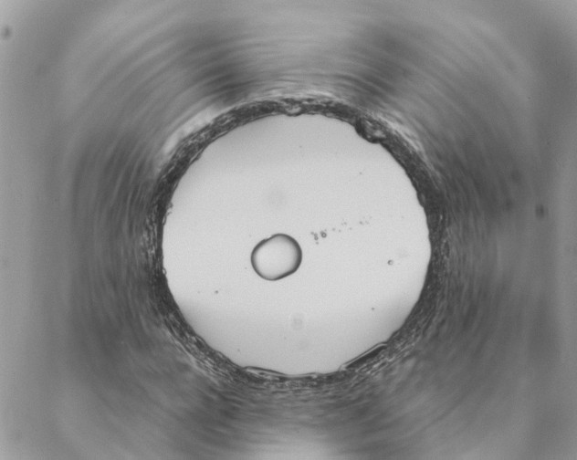 X0000088070920200706011510