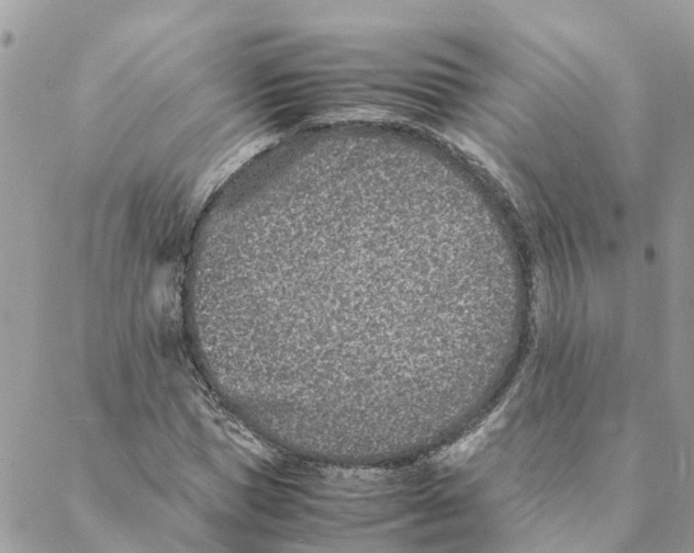 X0000088070921200706011510