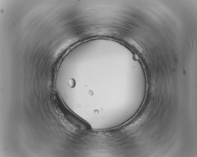 X0000088070922200706011510