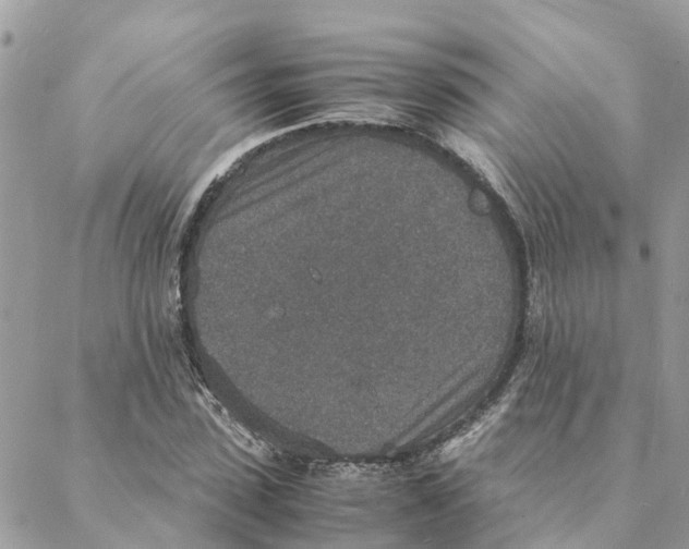 X0000088070923200706011510