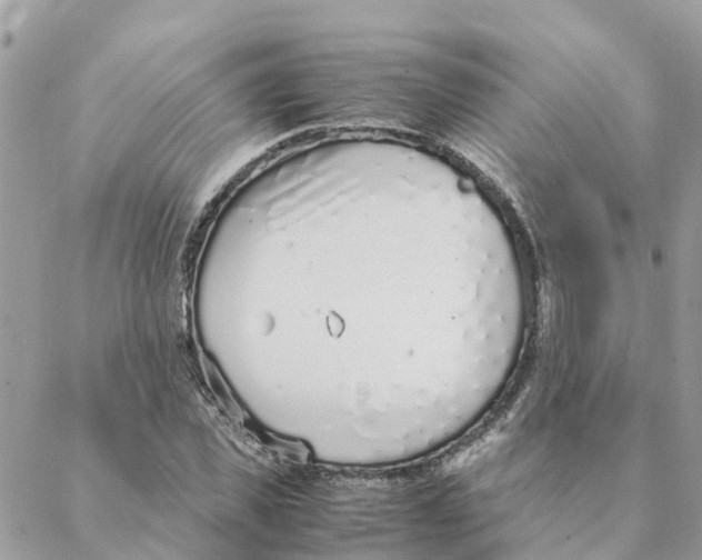 X0000088070925200706011510