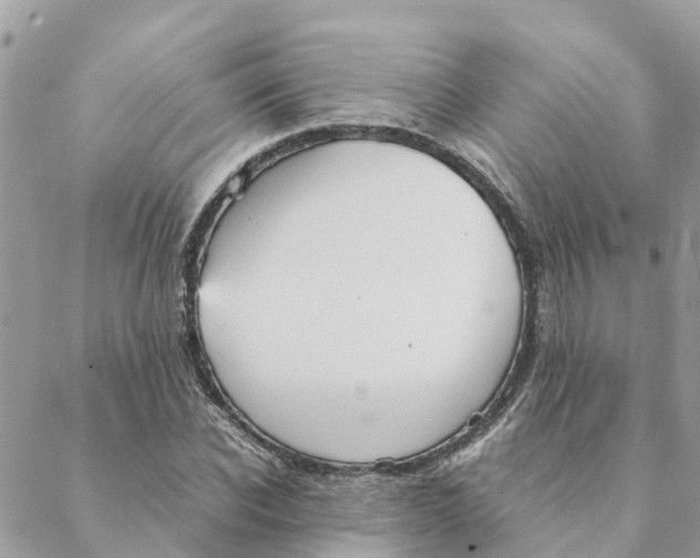 X0000088070926200706011510