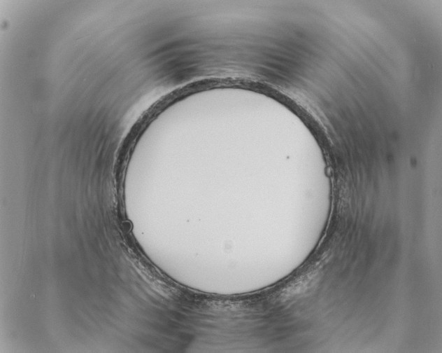 X0000088070927200706011510