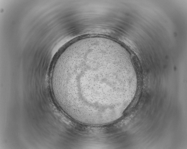 X0000088070928200706011510