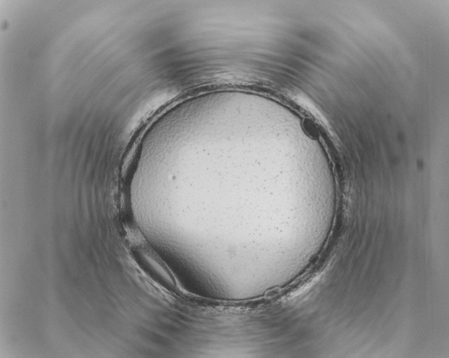 X0000088070930200706011510