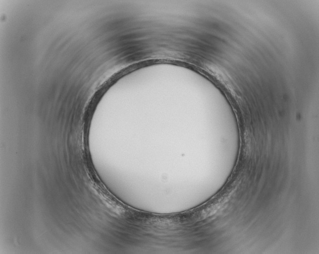 X0000088070931200706011510