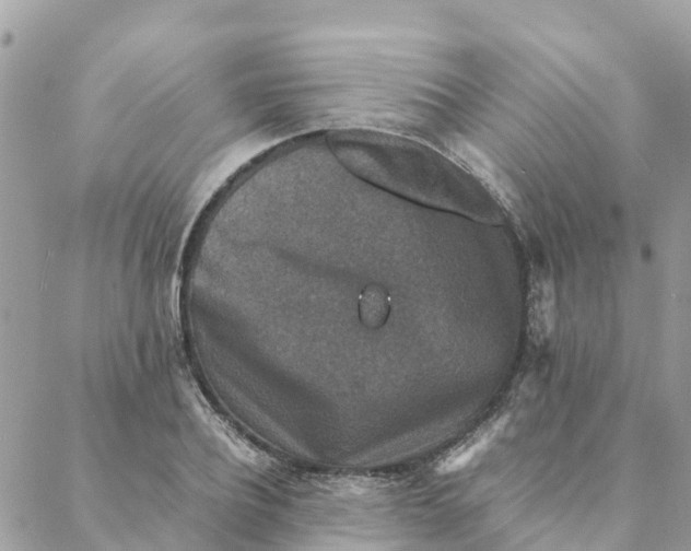 X0000088070932200706011510