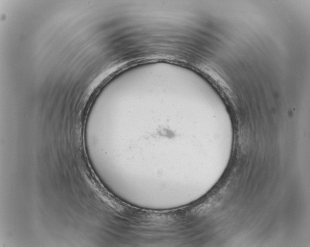 X0000088070933200706011510