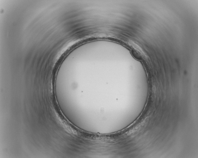 X0000088070934200706011510