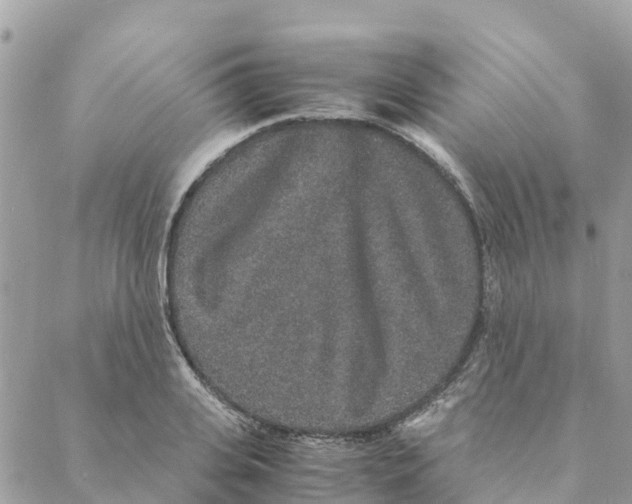 X0000088070935200706011510