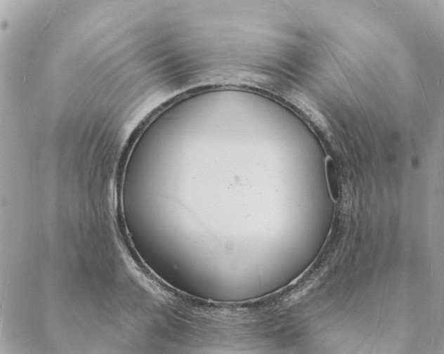 X0000088070936200706011510