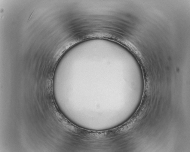 X0000088070937200706011510