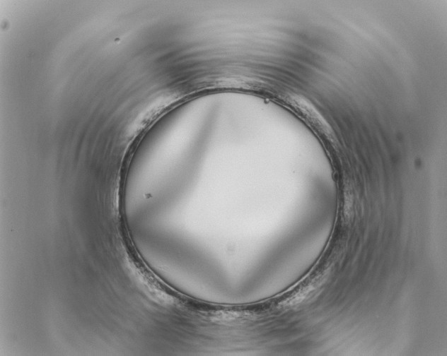 X0000088070938200706011510