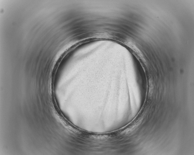 X0000088070939200706011510