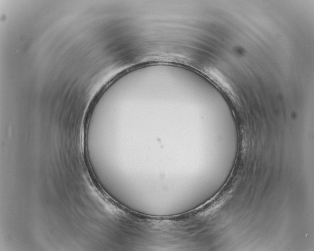 X0000088070940200706011510