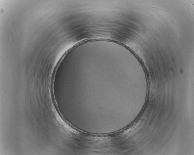 X0000088070941200706011510