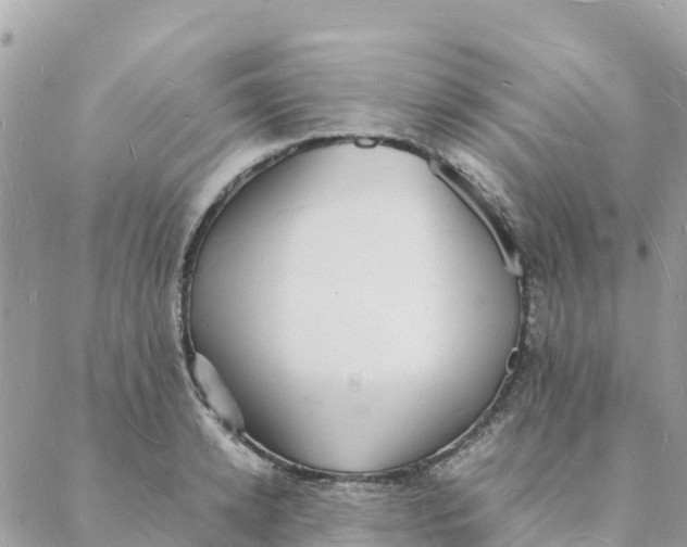 X0000088070942200706011510