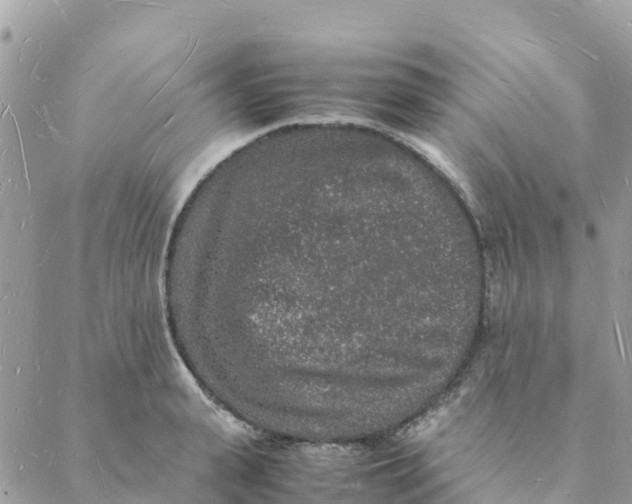 X0000088070943200706011510