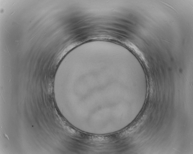 X0000088070945200706011510