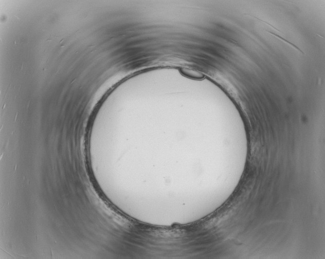 X0000088070947200706011510