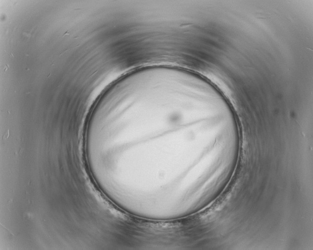 X0000088070949200706011510