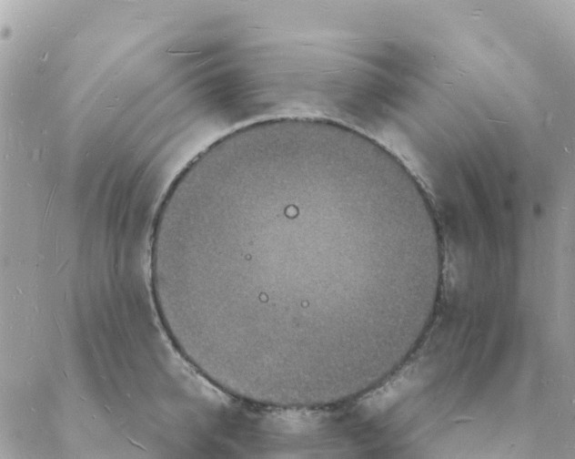 X0000088070950200706011510