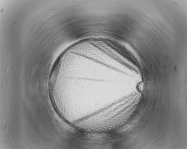 X0000088070951200706011510