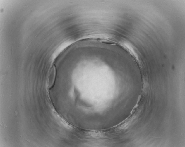 X0000088070952200706011510