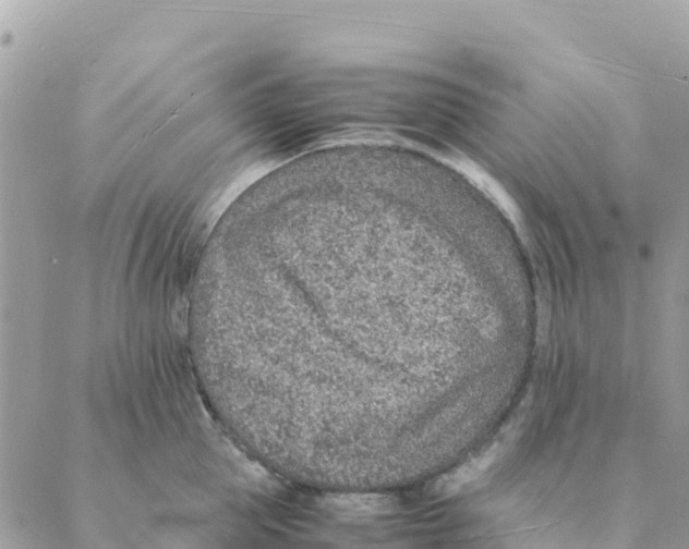 X0000088070953200706011510