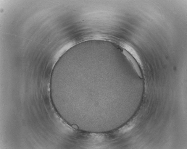 X0000088070954200706011510