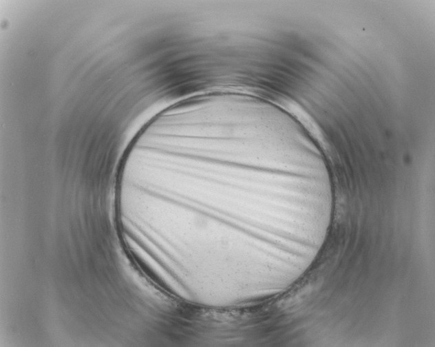 X0000088070955200706011510