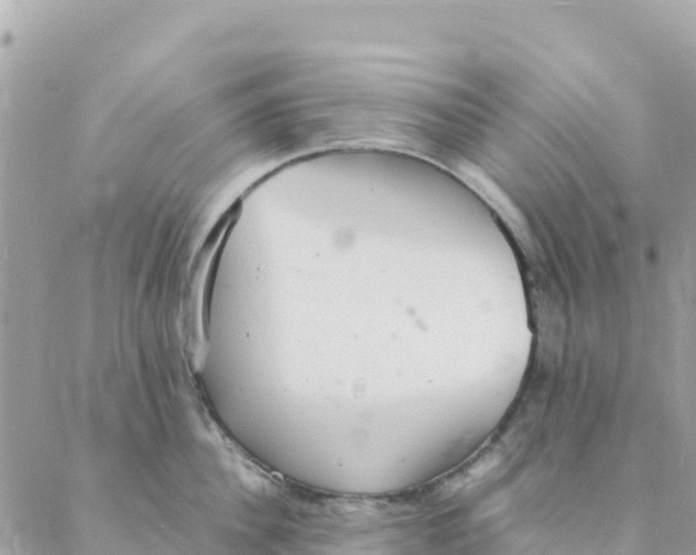 X0000088070956200706011510