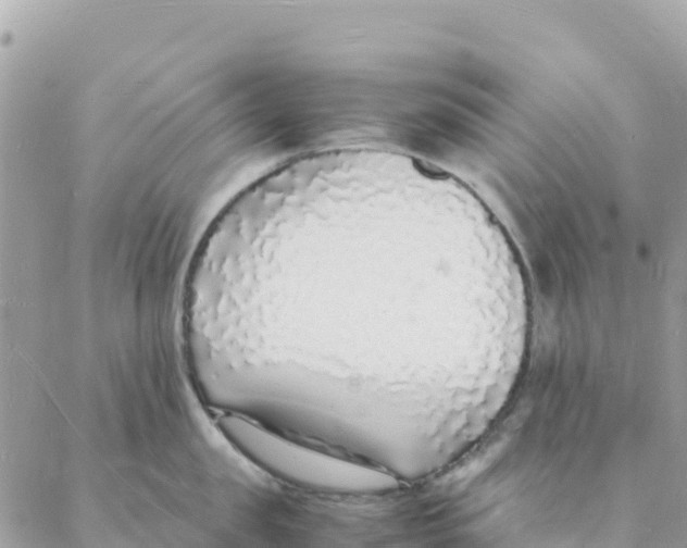 X0000088070957200706011510