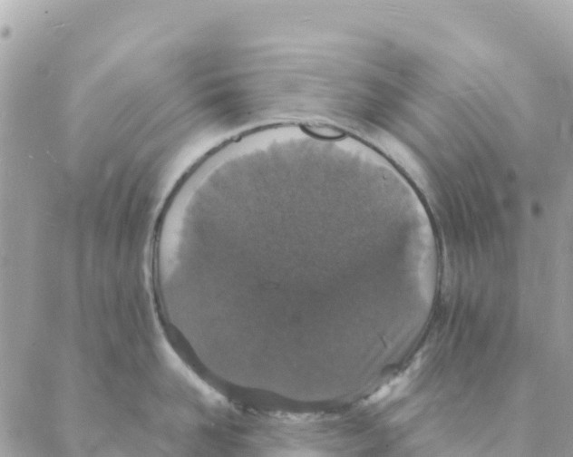 X0000088070958200706011510