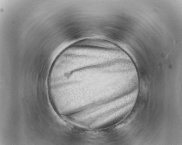 X0000088070959200706011510