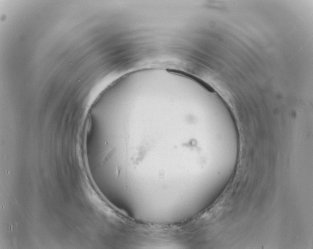 X0000088070960200706011510