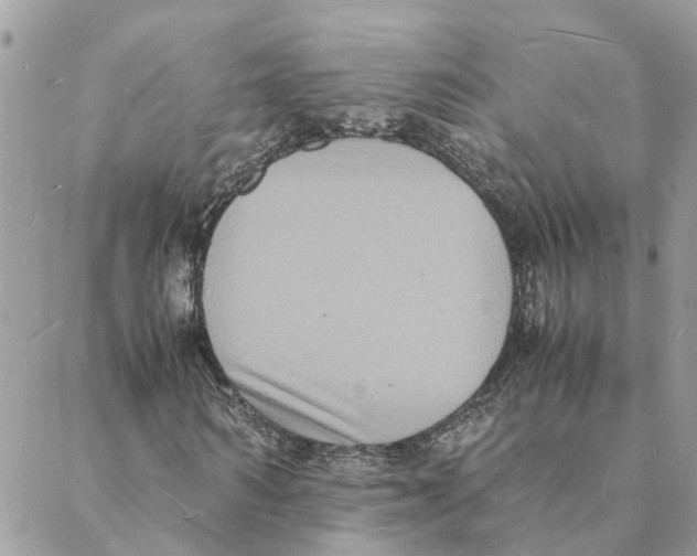 X0000088070962200706011509