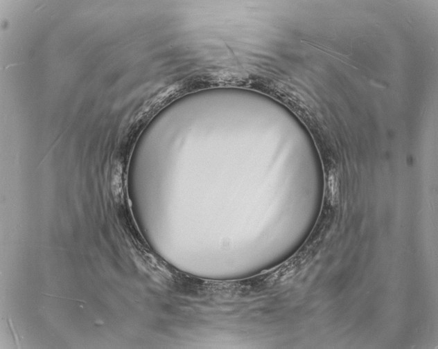 X0000088070963200706011509