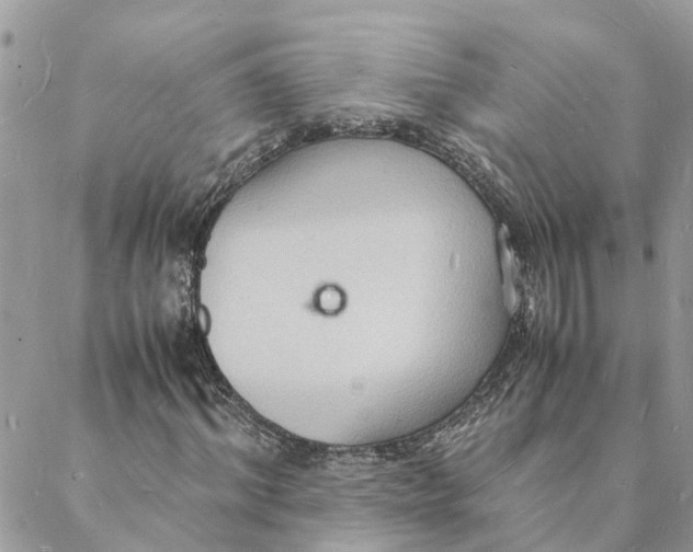 X0000088070964200706011509