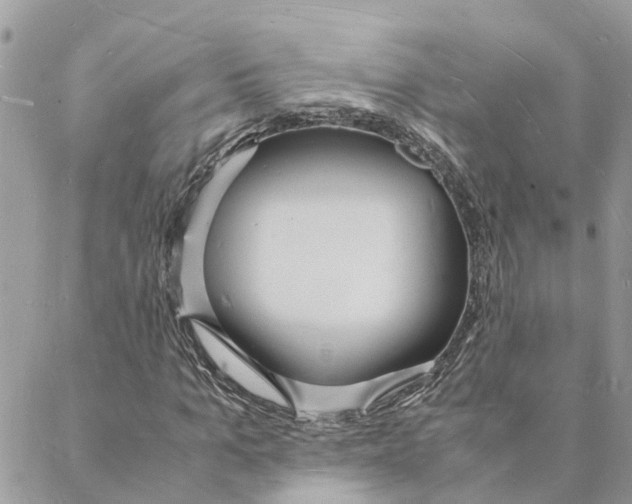 X0000088070965200706011509