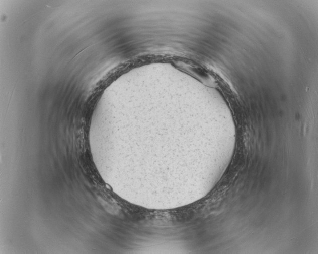 X0000088070968200706011509