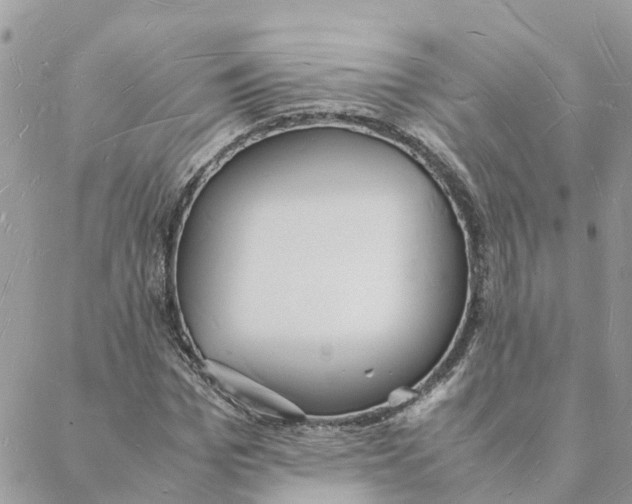 X0000088070969200706011509