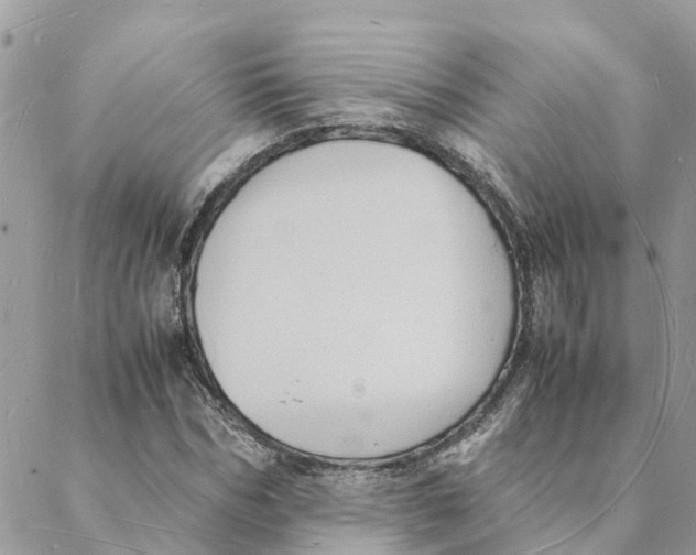 X0000088070970200706011509