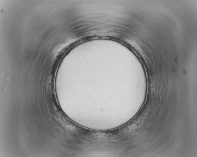 X0000088070971200706011509