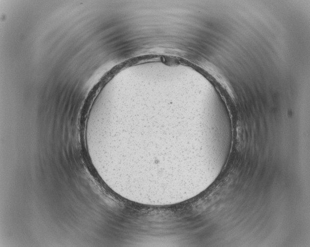 X0000088070972200706011509