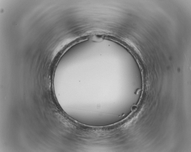 X0000088070973200706011509