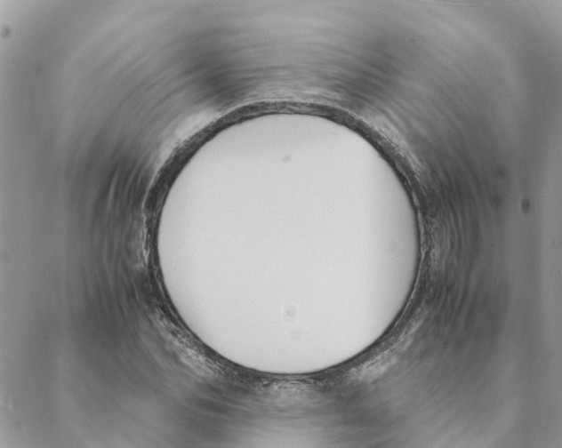 X0000088070974200706011509