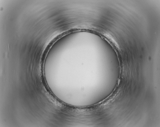 X0000088070976200706011509