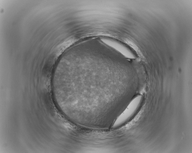 X0000088070977200706011509