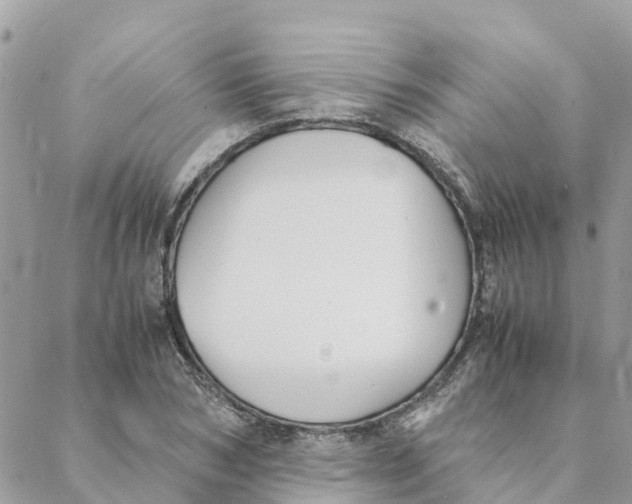 X0000088070978200706011509